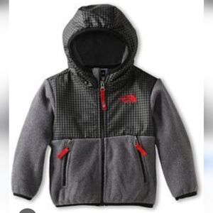The North Face POLARTEC Denali HOODED Jacket,Toddler Kids 4